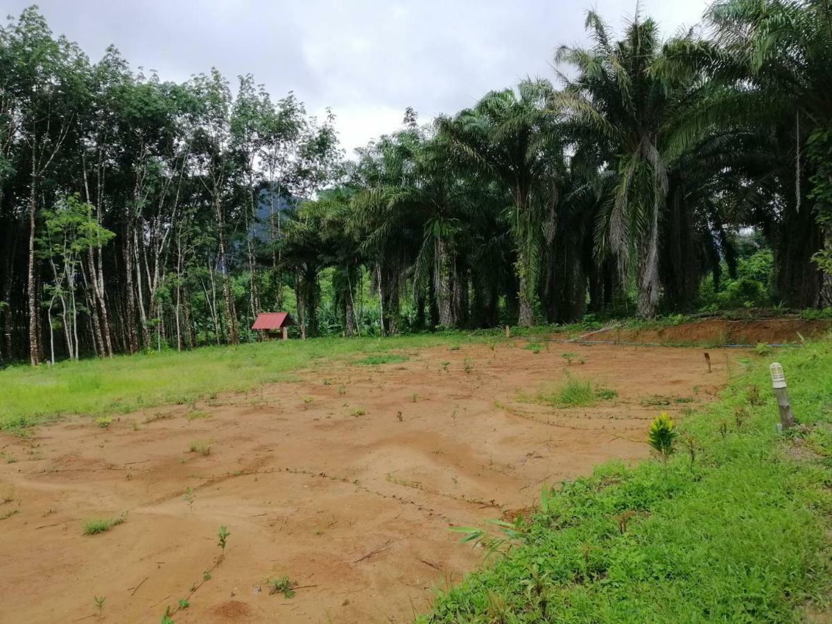Khao Sok Evergreen House Khao Sok National Park Экстерьер фото