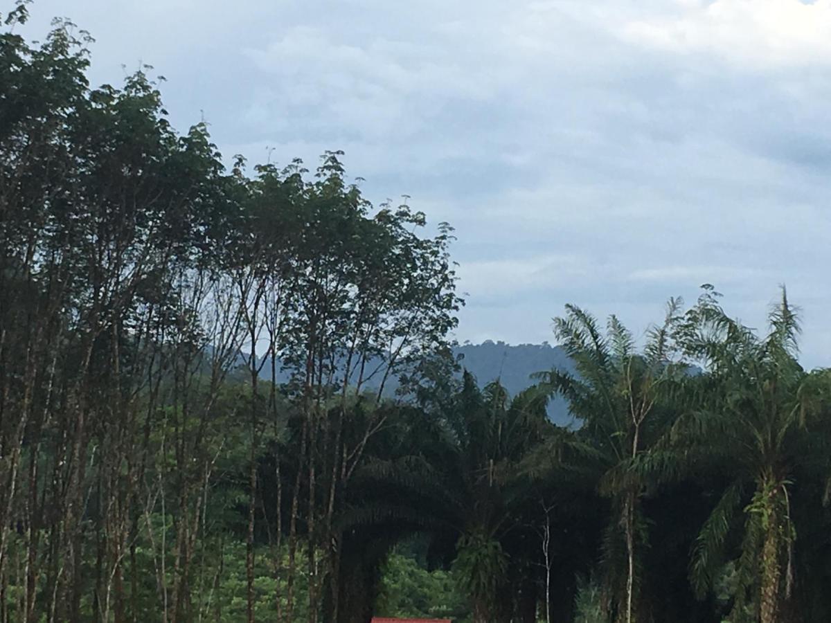 Khao Sok Evergreen House Khao Sok National Park Экстерьер фото