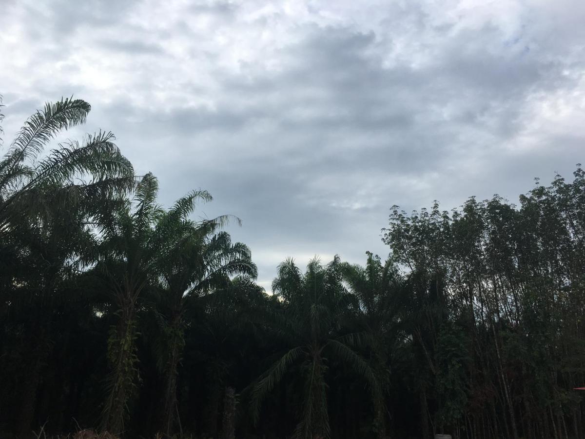 Khao Sok Evergreen House Khao Sok National Park Экстерьер фото