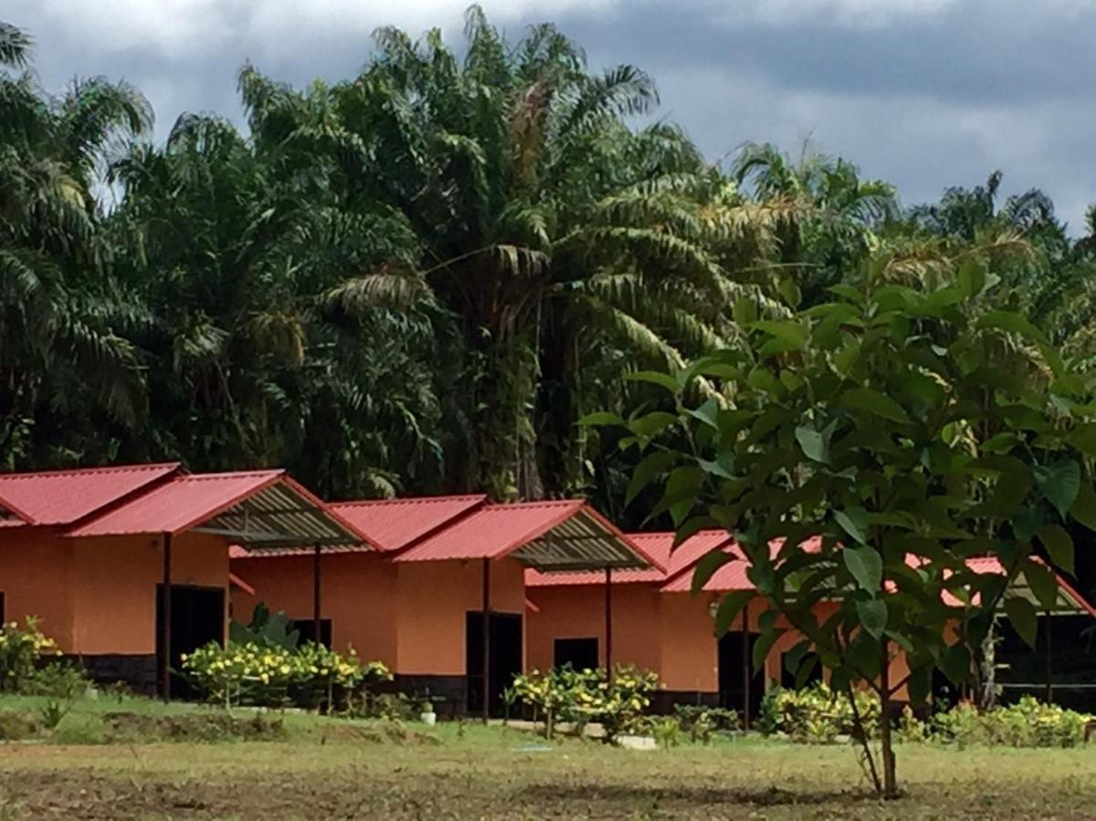 Khao Sok Evergreen House Khao Sok National Park Экстерьер фото